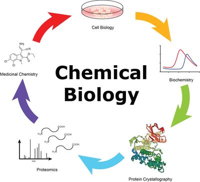 Huber_Chemical_Biology.jpg